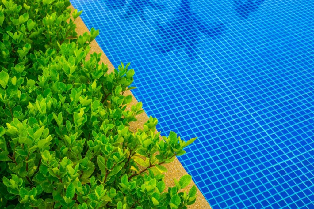Placas fotovoltaicas para piscinas