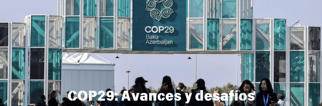 COP29